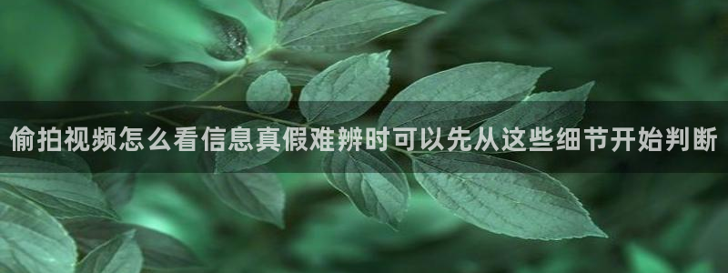 热点爆料事件
