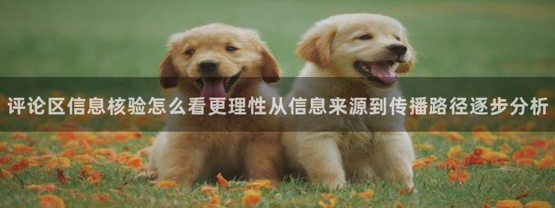 最新热点爆料