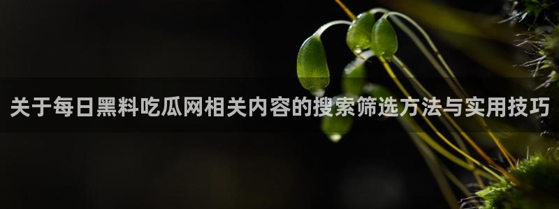 黑料爆料信息：关于每日黑料吃瓜网相关内容的搜索筛选方法与实用技巧