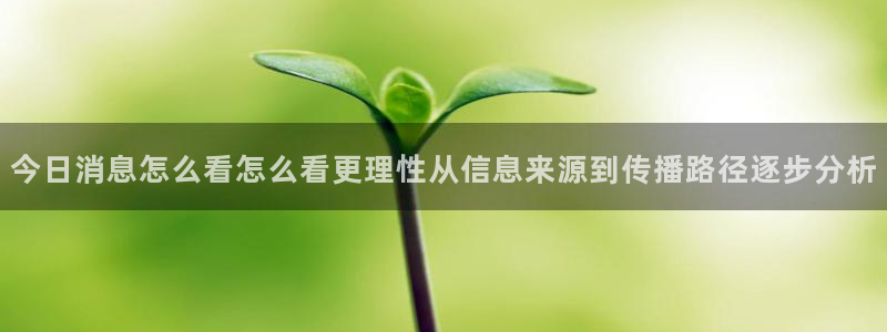黑料爆料热门信息：今日消息怎么看怎么看更理性从信息来源到传播路径逐步分析