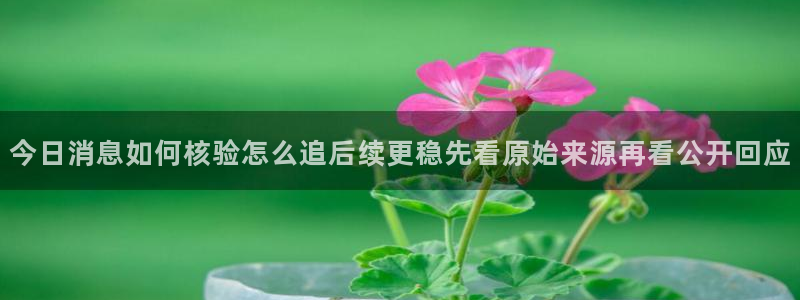 网络热门爆料：今日消息如何核验怎么追后续更稳先看原始来源再看公开回应