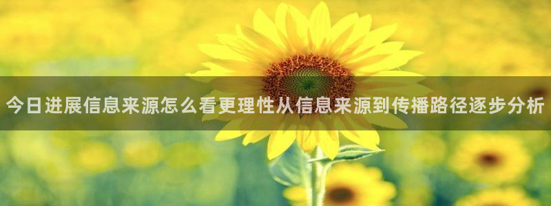 网络黑料事件：今日进展信息来源怎么看更理性从信息来源到传播路径逐步分析
